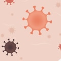 Can Covid-19 be Transmitted Airborne? An Expert's Perspective