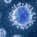 Can Aerosols Transmit the Covid-19 Virus? An Expert's Perspective